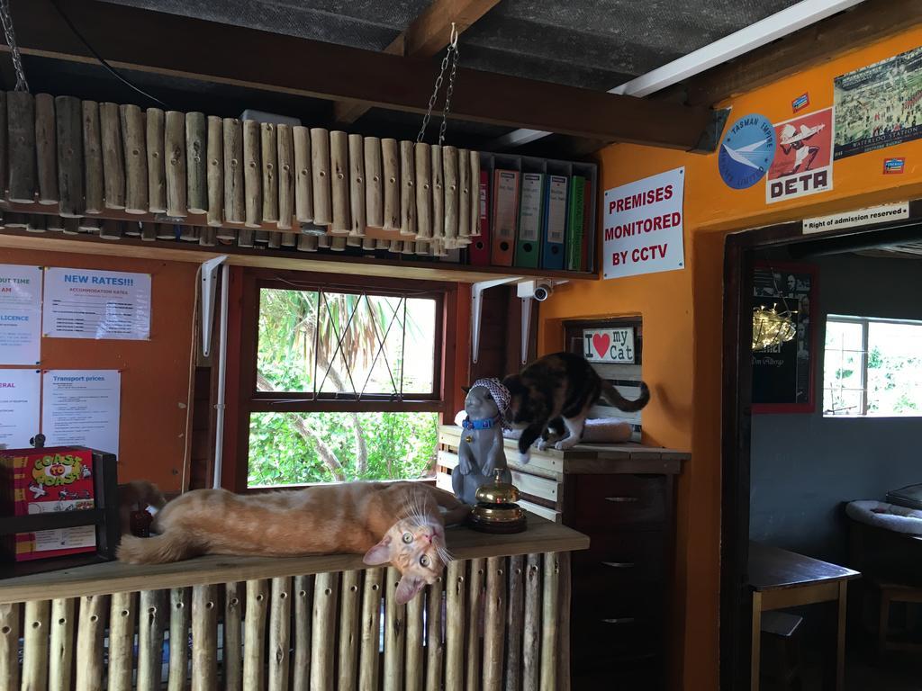 Albergo For Backpackers Plettenberg Bay Ngoại thất bức ảnh