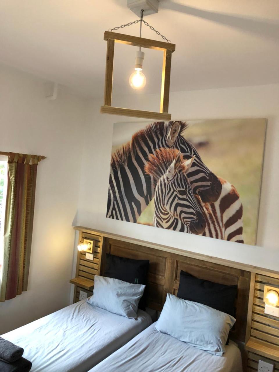 Albergo For Backpackers Plettenberg Bay Ngoại thất bức ảnh