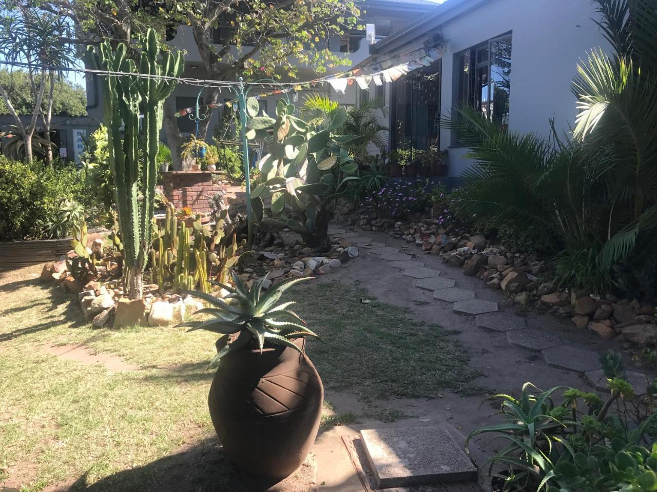 Albergo For Backpackers Plettenberg Bay Ngoại thất bức ảnh