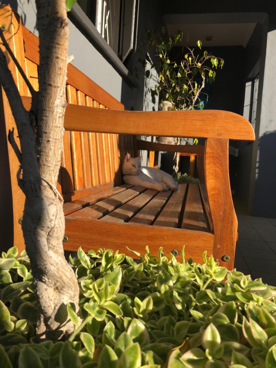 Albergo For Backpackers Plettenberg Bay Ngoại thất bức ảnh