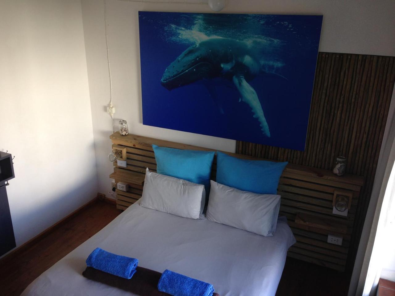 Albergo For Backpackers Plettenberg Bay Ngoại thất bức ảnh