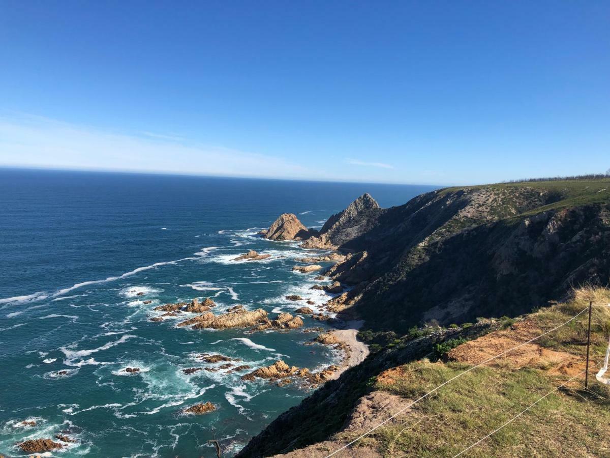 Albergo For Backpackers Plettenberg Bay Ngoại thất bức ảnh