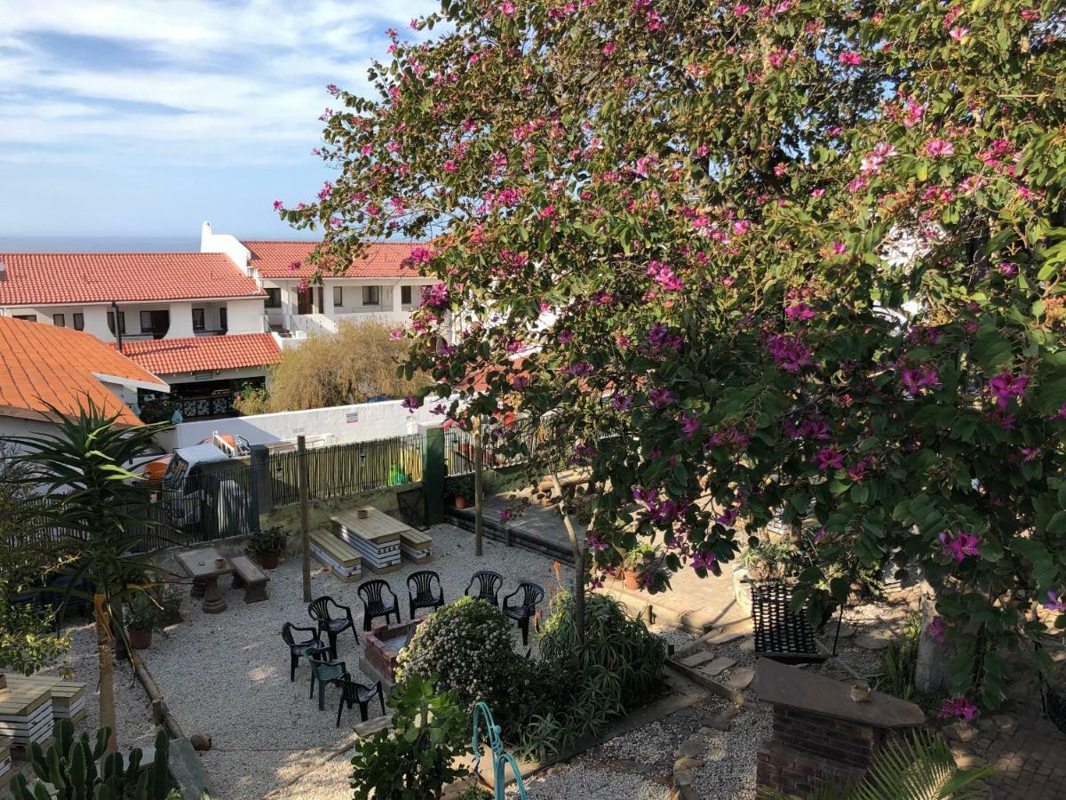 Albergo For Backpackers Plettenberg Bay Ngoại thất bức ảnh